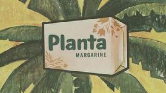 planta