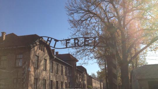 Auschwitz 2015