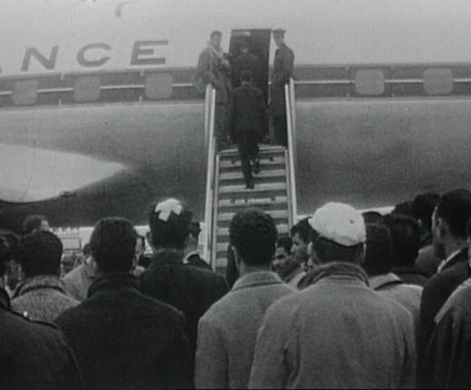 Per vliegtuig werden ongeveer 500 Algerijnen naar Algerije teruggestuurd