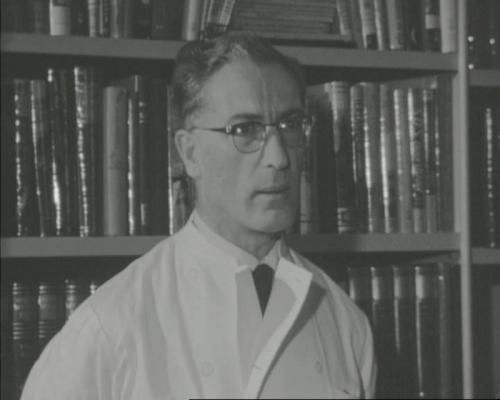 Dr. Jo Schreuder