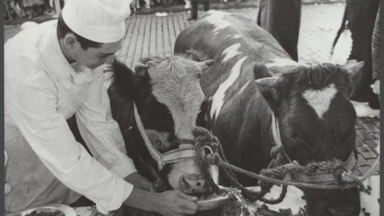 Foto Nationaal Archief