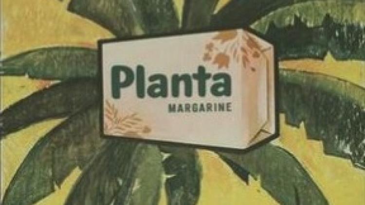 Planta