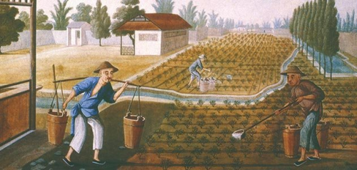 Brits-Indiase thee-industrie vraag 2