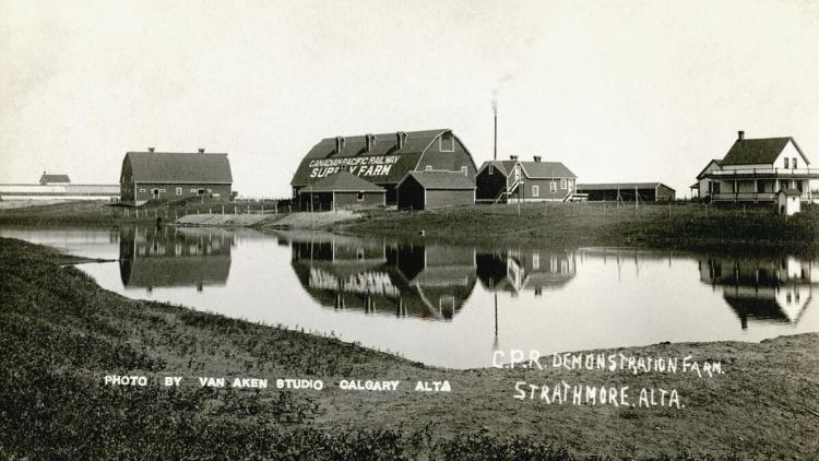 CPR Supply Farm