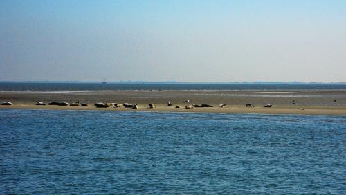 Waddenzee