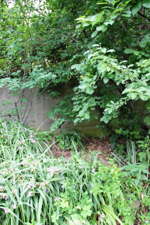 Een overblijfsel van de Muur in één van de achtertuinen in de ‘Entenschnabel’ (2011).